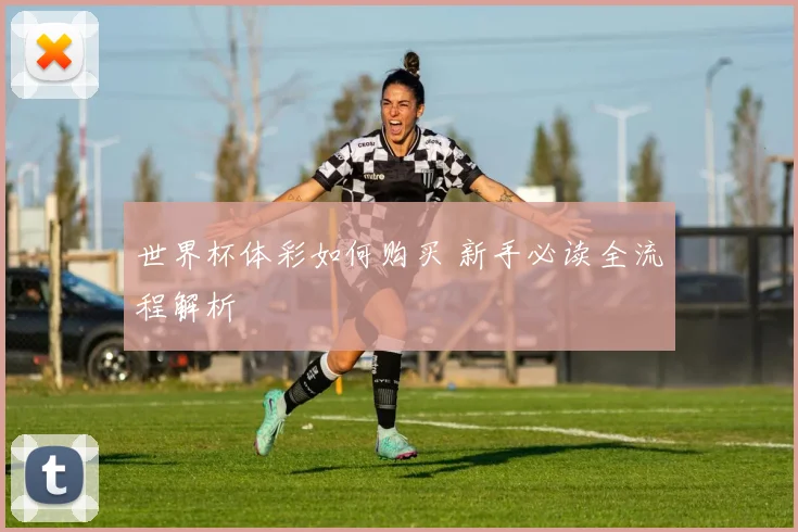 世界杯体彩如何购买 新手必读全流程解析